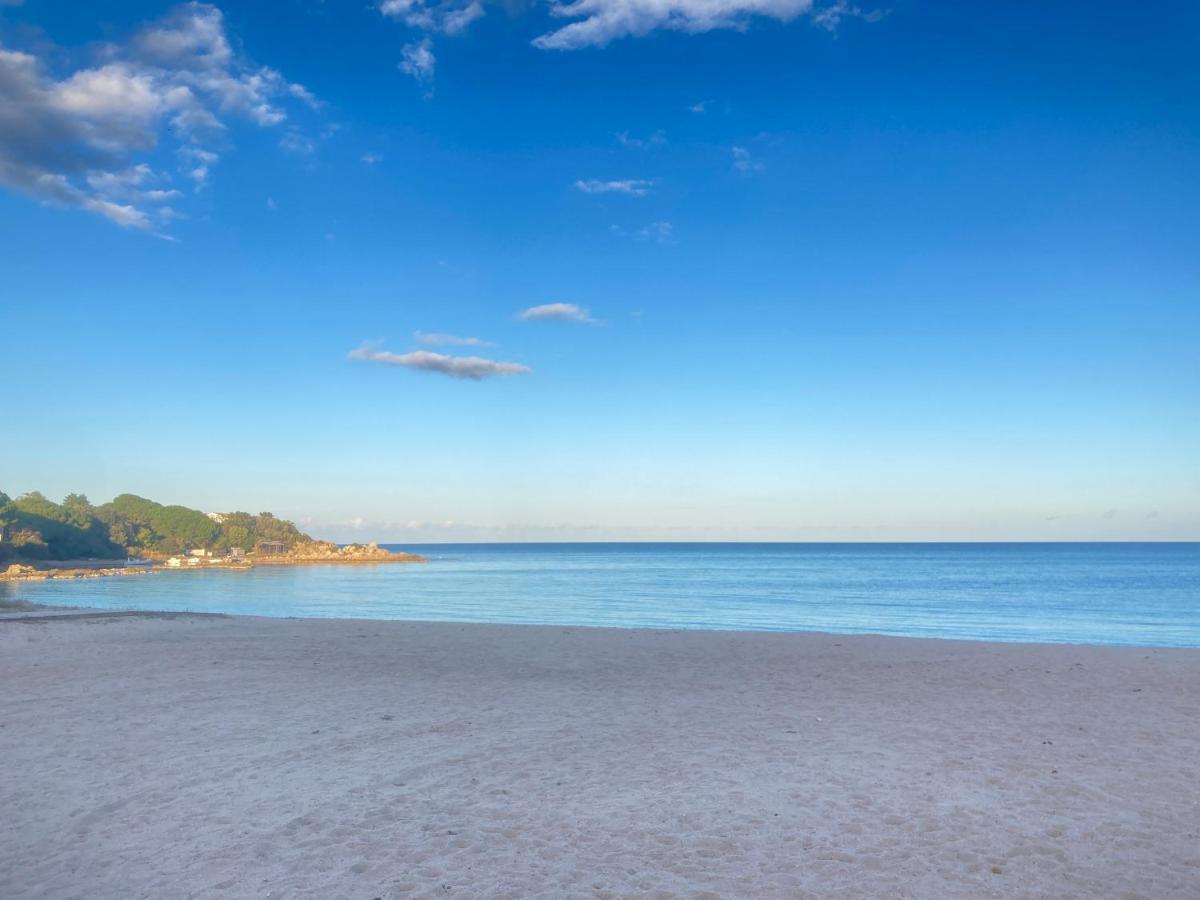 Les Lodges De La Plage U Dragulinu Сари-Соленцара Экстерьер фото